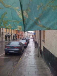 Mandelblom på Artillerigatan