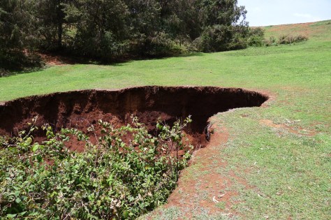 erosion in Entoto, Ethiopia