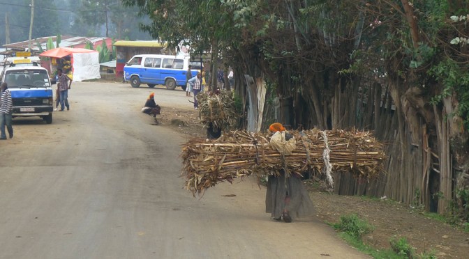 Earth Day in Entoto Hills – eucalyptus, erosion och vedbärande kvinnor